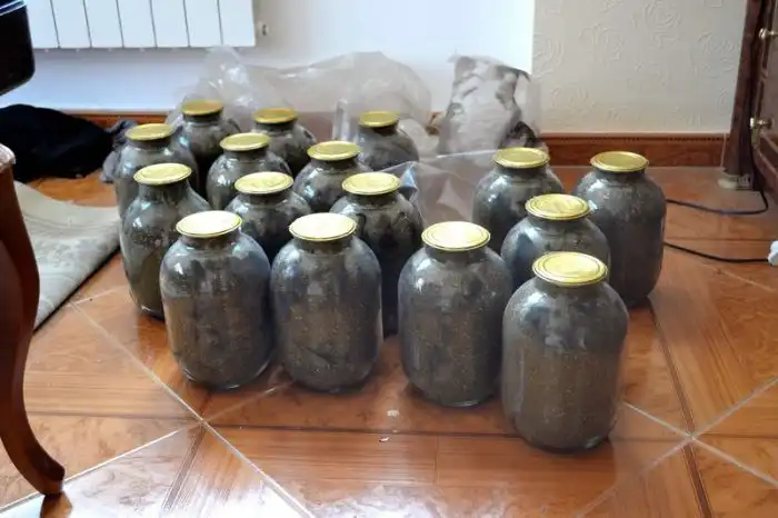 "Подготовка к зиме" закончилась тюремным заключением