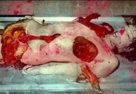 Жесть Download by Lokki