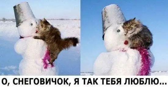 Прикольные картинки абавсём (22.11.12)