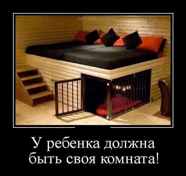 Картинки в черной рамке