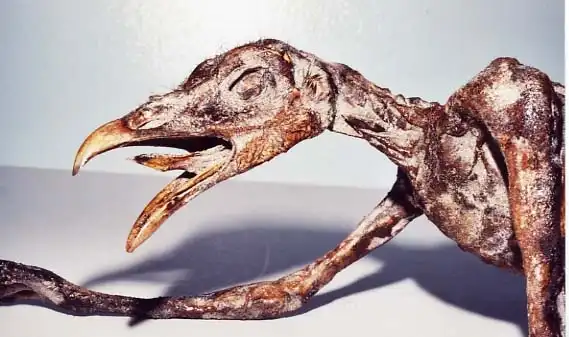 мистификатор хуан кабана