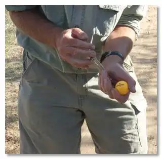 Пять до смешного простых способов защиты от опасных животных