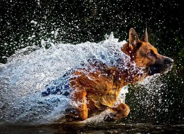 Останавливая мгновение.