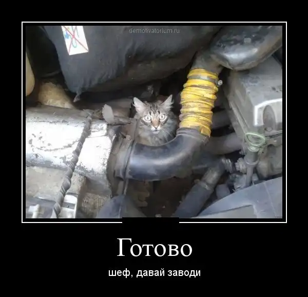 Картинки в черной рамке