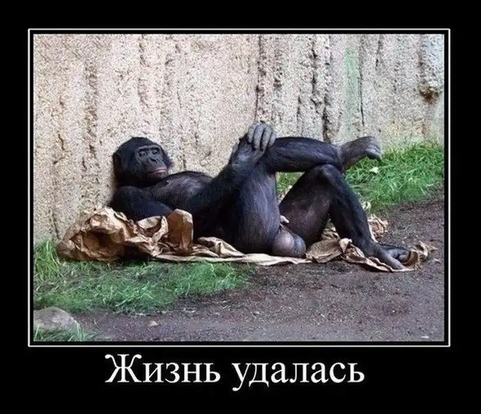 Картинки в черной рамке