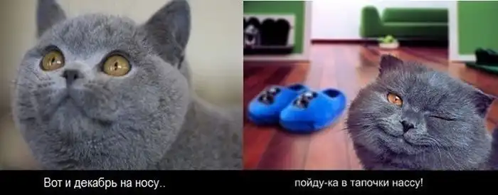 Прикольные картинки абавсём (30.11.12)