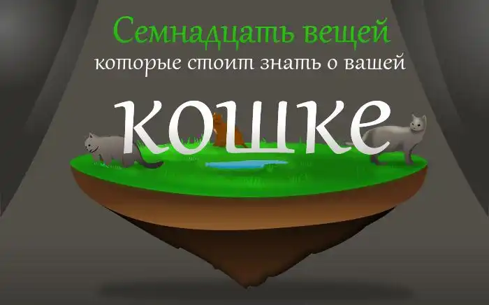 То, чего многие не знали о котах