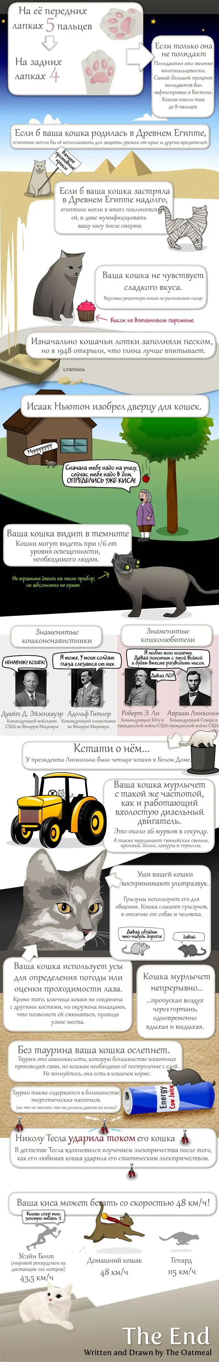 То, чего многие не знали о котах