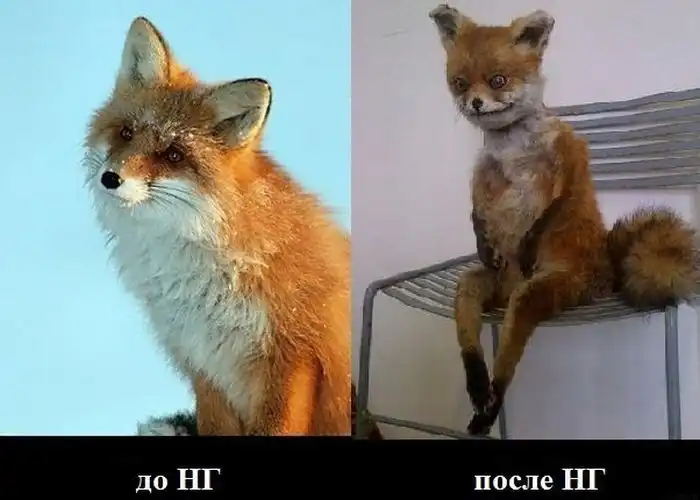 Прикольные картинки абавсём (30.11.12)