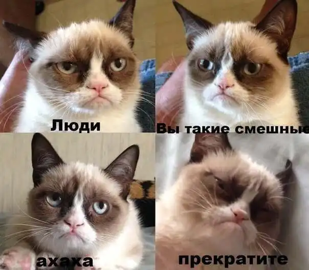 Трешовые картики абавсём:D (06.11.12)