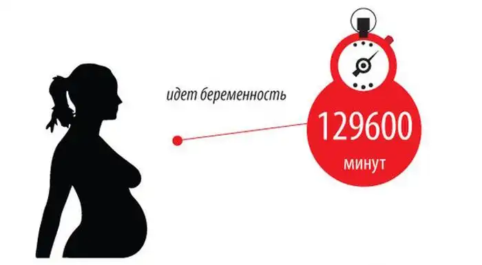 Длительность различных событий в одном инфографике