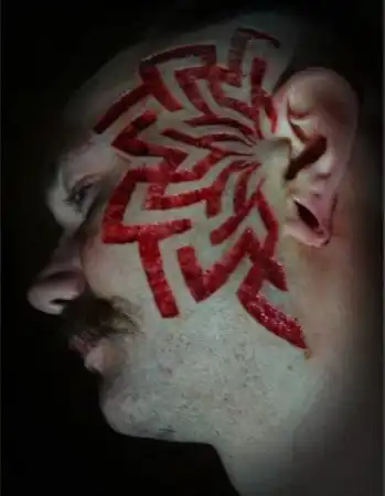 Шрамирование.