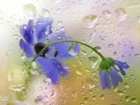 Соляночка =З