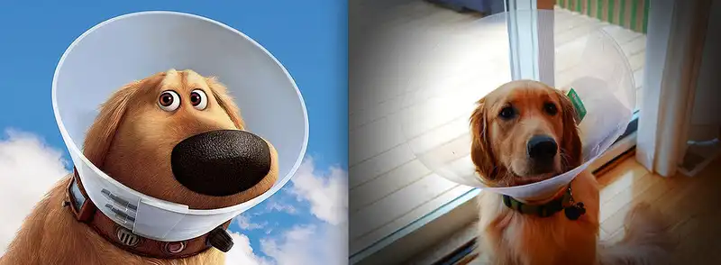 Реальные копии диснеевских персонажей