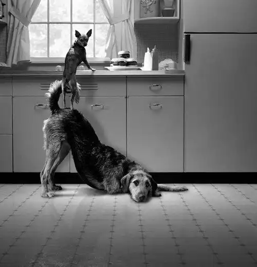 Соляночка =З