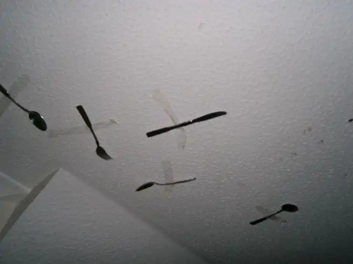 Никогда не позволяйте детям устраивать вечеринки дома