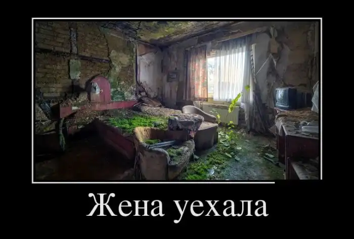 Картинки в черной рамке