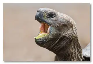 6 самых идиотских вопросов, которыми когда-либо задавалась наука