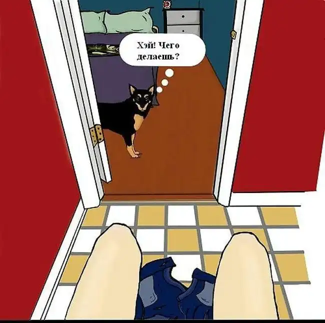 Комикс, показывающий разницу между домашними котами и собаками