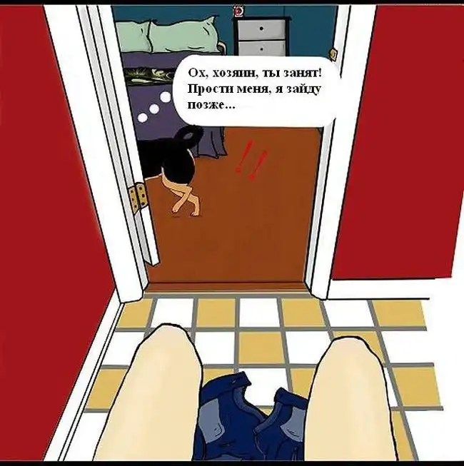 Комикс, показывающий разницу между домашними котами и собаками