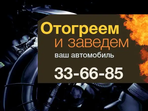 Прыгающий на два метра кот покорил Интернет