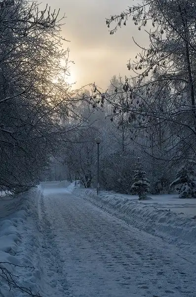 Картинко-комикс-микс.