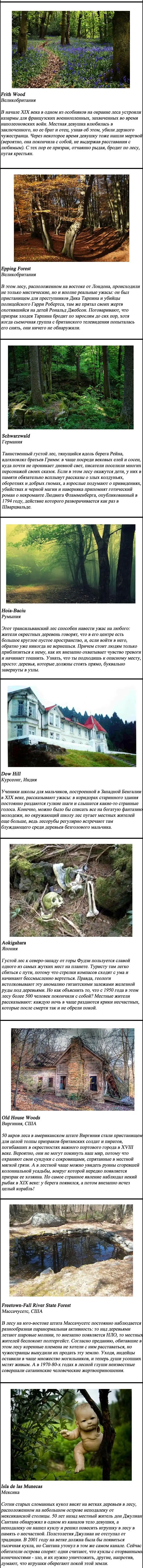 Самые страшные и пугающие леса планеты
