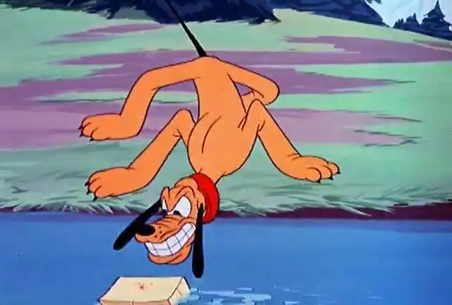 Пакет с сюрпризом для Плуто