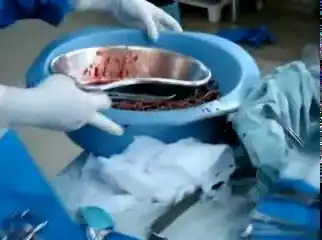 Кто-кто внутри нас живет...