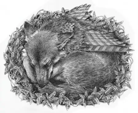 Соляночка =З