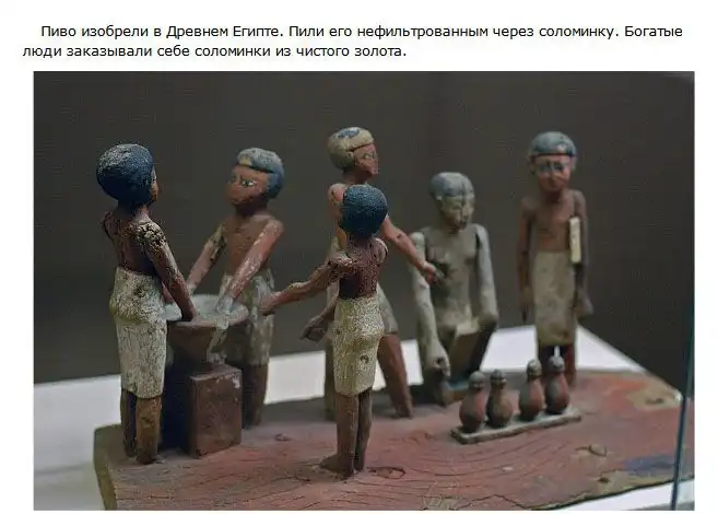 Самые интересные факты о пиве