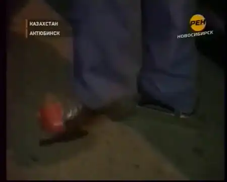 Самый идиотский поступок года