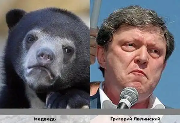 Звездные сходства