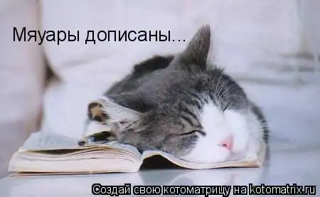 Котоматрици