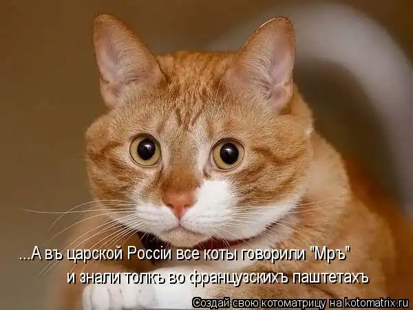 Котоматрици