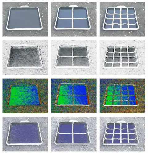 Зоологи объяснили появление полосок у зебр