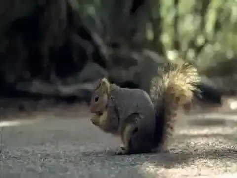 ржачная Реклама Bridgestone