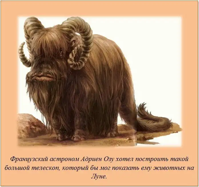 Факты обо всем на свете