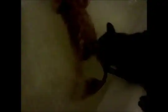 Кот - спасатель Малибу