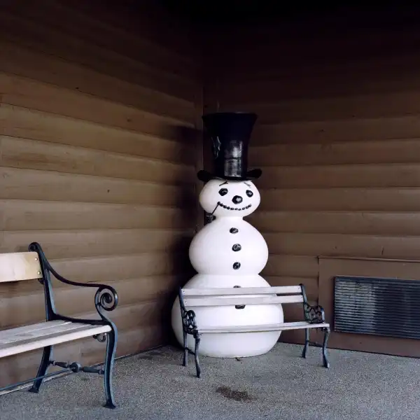 Фотограф Annie Collinge (20 фото)