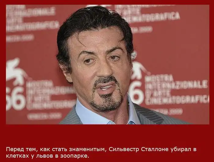 Факты о Сильвестре Сталлоне