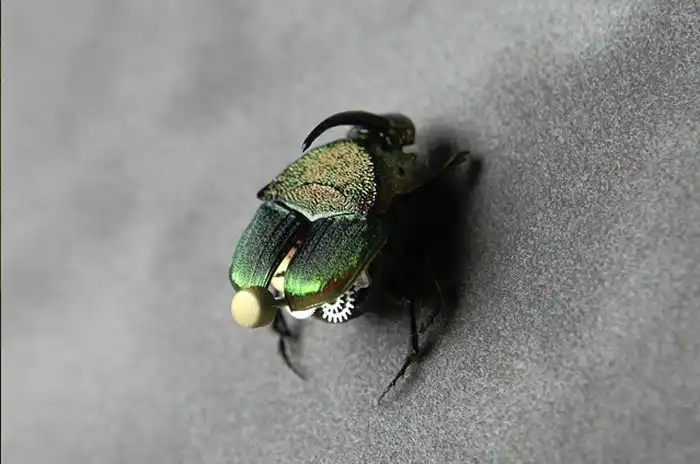 Стимпанк насекомые