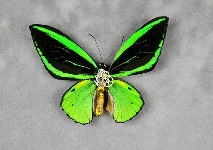 Стимпанк насекомые