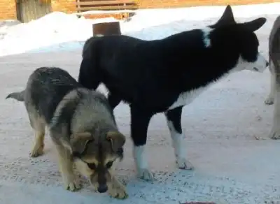 Кузьме и Мане грозит опасность