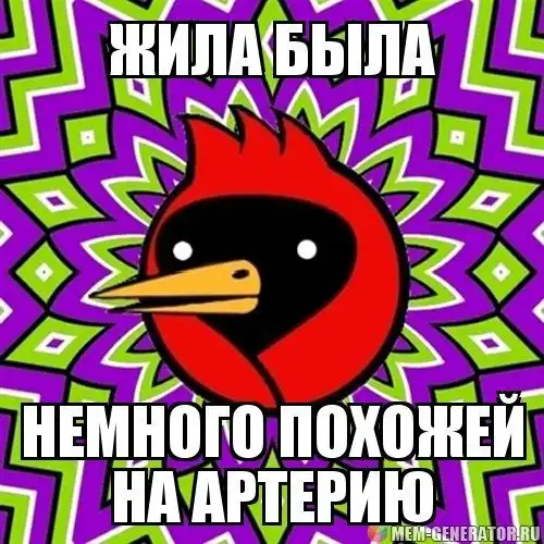 Омская птица