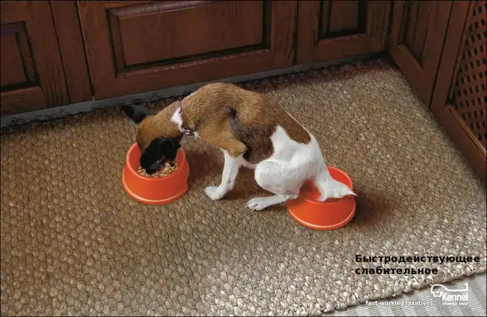 Рекламный креатив