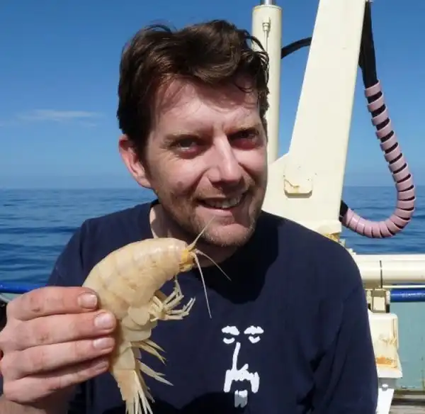 Для любителей пива с креветками