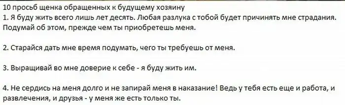 Памятка владельцам собаки