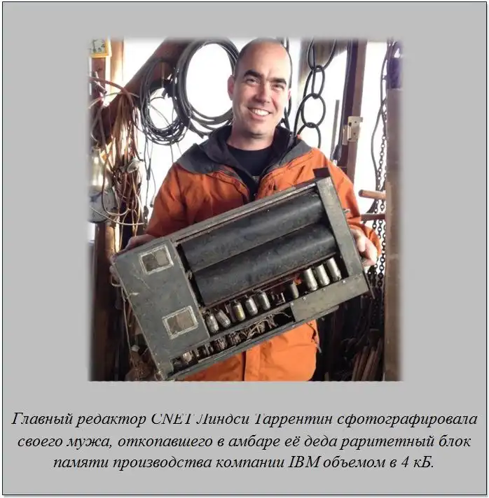 Факты обо всем на свете