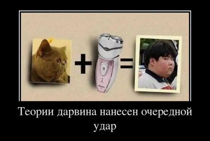 Картинки в черной рамке